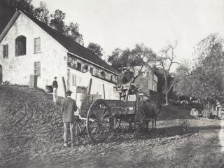 The cellars of Buena Vista