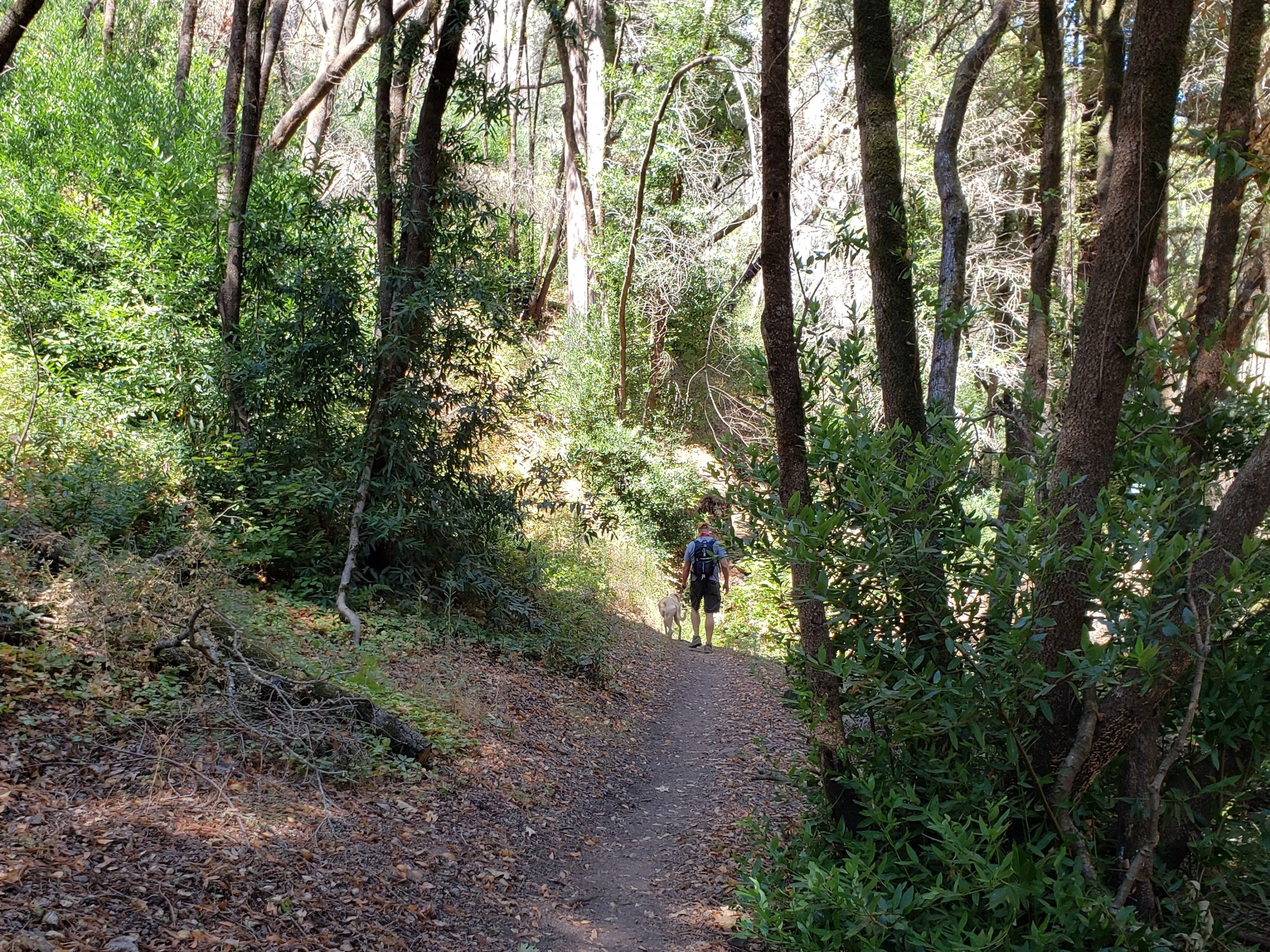 Summer Solstice Hike and Lunch