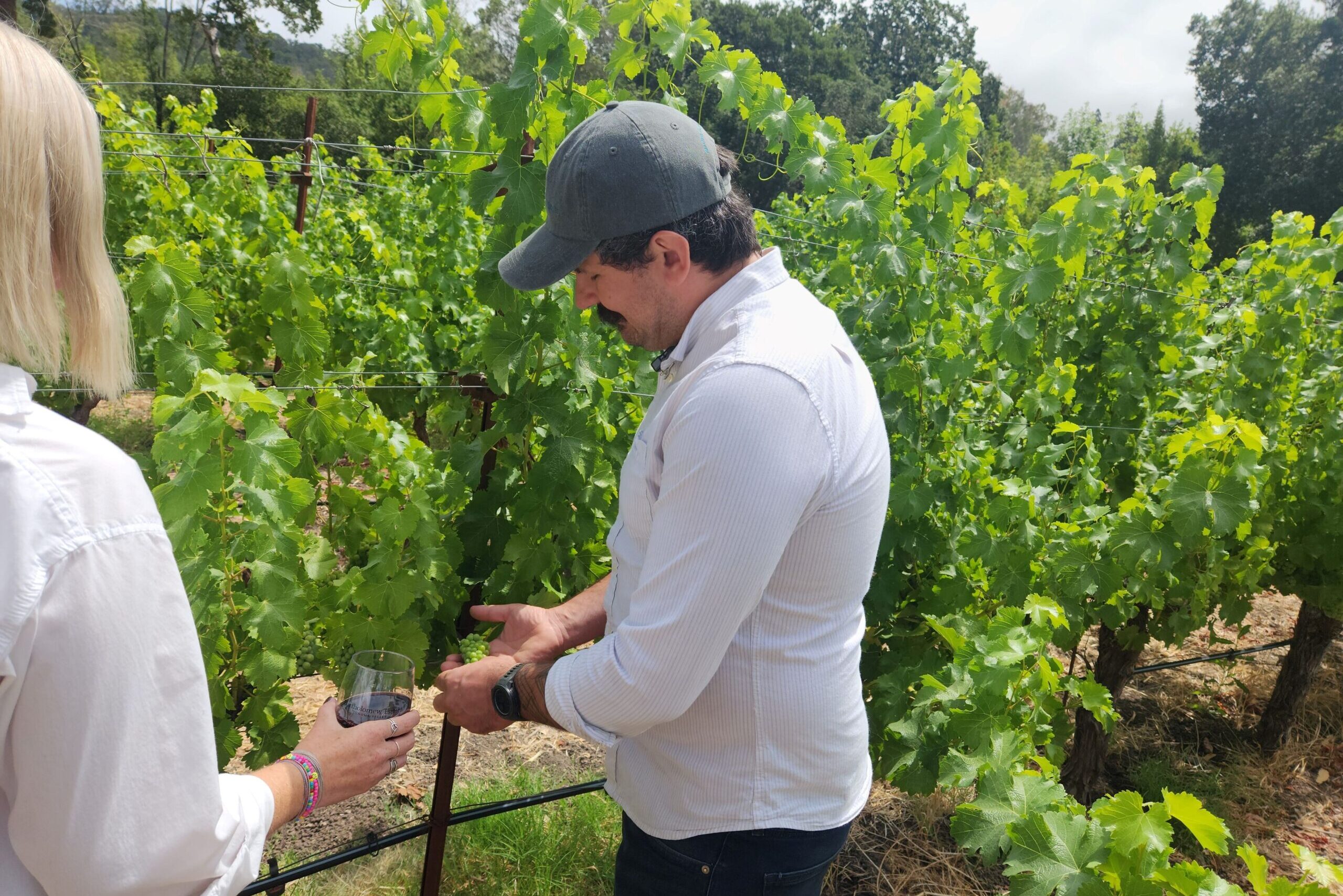 Late Summer Vineyard Tour at Bart Estate WEB 20230811_114754-01